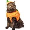 Frisco Pumpkin Ball Dog & Cat Costume -Meow Meals 708902 MAIN. AC SS1800 V1689351821