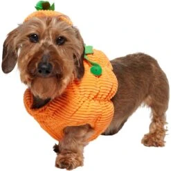 Frisco Pumpkin Ball Dog & Cat Costume -Meow Meals 708902 PT2. AC SS1800 V1689351041