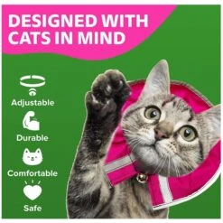 Prey Saver Break Away Cat Collar, One Size -Meow Meals 710062 PT3. AC SS1800 V1668809601
