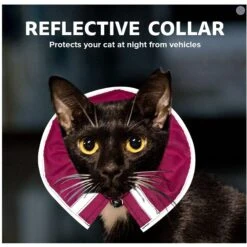 Prey Saver Break Away Cat Collar, One Size -Meow Meals 710062 PT4. AC SS1800 V1668809602