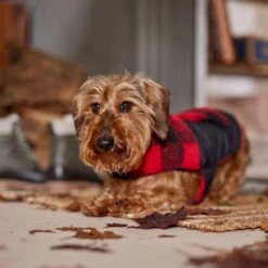 Frisco Reversible Medium Weight Boulder Plaid Dog & Cat Coat -Meow Meals 717846 PT7. AC SS1800 V1692375977