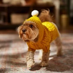 Frisco Sherpa Lined Chunky Cable Knit Dog & Cat Hooded Sweater -Meow Meals 718374 PT7. AC SS1800 V1692379031