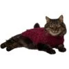 Frisco Cozy Textured Chenille Dog & Cat Sweater -Meow Meals 718614 MAIN. AC SS1800 V1692380456