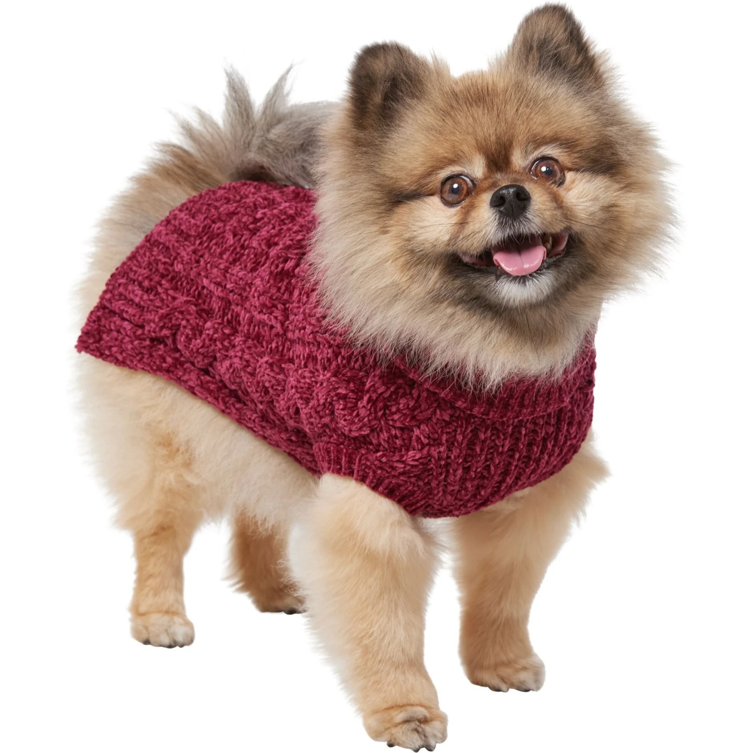 Frisco Cozy Textured Chenille Dog & Cat Sweater 5 Frisco Cozy Textured Chenille Dog & Cat Sweater - Image 3