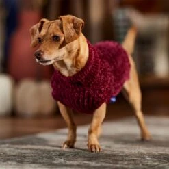 Frisco Cozy Textured Chenille Dog & Cat Sweater 16 Frisco Cozy Textured Chenille Dog & Cat Sweater -Meow Meals 718614 PT7. AC SS1800 V1692378337