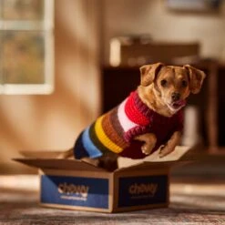 Frisco Chunky Knit Multi-Stripe Dog & Cat Sweater -Meow Meals 718662 PT7. AC SS1800 V1692378219