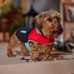 Frisco Medium Weight Retro Colorblock Mixed Media Dog & Cat Coat -Meow Meals 719462 PT7. AC SS1800 V1692379031