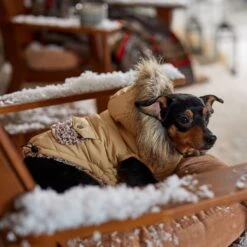 Frisco Heavy Weight Matte Quilted Dog & Cat Parka With Cozy Fleece Lining -Meow Meals 719654 PT7. AC SS1800 V1692376037