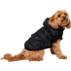 Frisco Heavy Weight Matte Quilted Volume Dog & Cat Puffer -Meow Meals 719750 PT2. AC SS1800 V1703184628