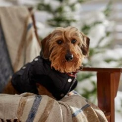 Frisco Heavy Weight Matte Quilted Volume Dog & Cat Puffer -Meow Meals 719750 PT7. AC SS1800 V1692377763