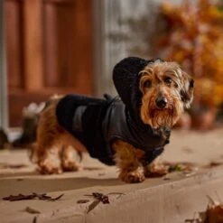 Frisco Medium Weight Faux Leather Dog & Cat Parka With Faux Fur Trimmed Hood, Black -Meow Meals 719798 PT7. AC SS1800 V1692376307