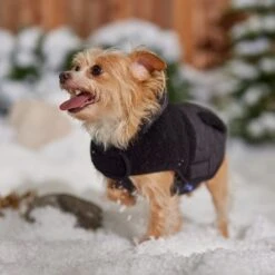 Frisco Heavy Weight Dog & Cat Quilted Hybrid Coat With Sherpa Lining -Meow Meals 719918 PT7. AC SS1800 V1692376306