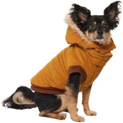 Frisco Heavy Weight Lux Corduroy Insulated Dog & Cat Coat With Fur Trimmed Hood -Meow Meals 719966 PT2. AC SS1800 V1703184628