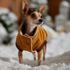 Frisco Heavy Weight Lux Corduroy Insulated Dog & Cat Coat With Fur Trimmed Hood -Meow Meals 719966 PT7. AC SS1800 V1692377819