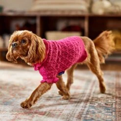 Frisco Ruffle Knit Pointelle Dog & Cat Turtleneck Sweater -Meow Meals 720646 PT7. AC SS1800 V1692379033