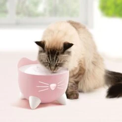 Catit Pixi Cat Drinking Fountain -Meow Meals 727598 PT5. AC SS1800 V1669828533