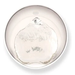 Catit Pixi Smart Stainless Top Cat Fountain Pump 10 Catit Pixi Smart Stainless Top Cat Fountain Pump -Meow Meals 727662 PT2. AC SS1800 V1669829081