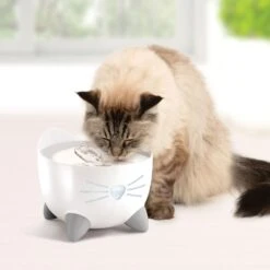 Catit Pixi Smart Stainless Top Cat Fountain Pump 13 Catit Pixi Smart Stainless Top Cat Fountain Pump -Meow Meals 727662 PT5. AC SS1800 V1669829080