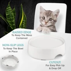 CatGuru Standard Cat & Dog Food Bowl, Marshmallow -Meow Meals 730910 PT3. AC SS1800 V1673016173