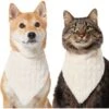 Frisco Solid Faux Fur Dog & Cat Bandana -Meow Meals 733878 MAIN. AC SS1800 V1692379951