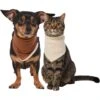 Frisco Reversible Cozy Knit Faux Fur Dog & Cat Pullover Bandana -Meow Meals 733918 MAIN. AC SS1800 V1692380241