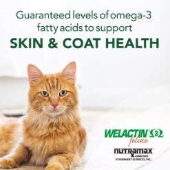 Nutramax Welactin Omega-3 Fish Oil Liquid Skin & Coat Supplement For Cats, 4-oz -Meow Meals 73555 PT3. AC SS1800 V1668631783