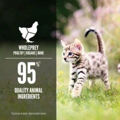 ORIJEN Kitten Recipe Chicken + Salmon Entree In Bone Broth Wet Cat Food -Meow Meals 741350 PT4. AC SS1800 V1681756777