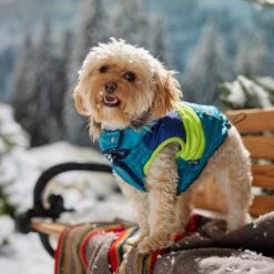 Frisco Heavy Weight Urban City Colorblock Dog & Cat Parka With Sherpa Lining -Meow Meals 742262 PT7. AC SS1800 V1692378161