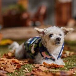 Frisco Medium Weight Urban City Camo Printed Dog & Cat Hooded Coat -Meow Meals 742358 PT7. AC SS1800 V1692376368