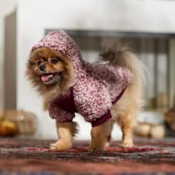 Frisco Textured Wubby 2-Tone Fleece Dog & Cat Hoodie -Meow Meals 742406 PT7. AC SS1800 V1692378336