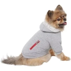 Frisco Sweatshirt Fleece Dog & Cat Hoodie With Sherpa Lining -Meow Meals 742550 PT2. AC SS1800 V1703194378