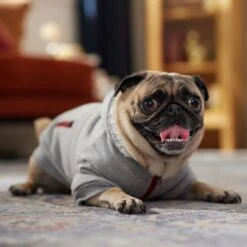 Frisco Sweatshirt Fleece Dog & Cat Hoodie With Sherpa Lining -Meow Meals 742550 PT7. AC SS1800 V1692378690