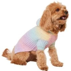 Frisco Soft Multi Stripe Ombre Dog & Cat Hooded Sweater -Meow Meals 742838 PT2. AC SS1800 V1703194379