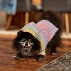 Frisco Soft Multi Stripe Ombre Dog & Cat Hooded Sweater -Meow Meals 742838 PT7. AC SS1800 V1692376365