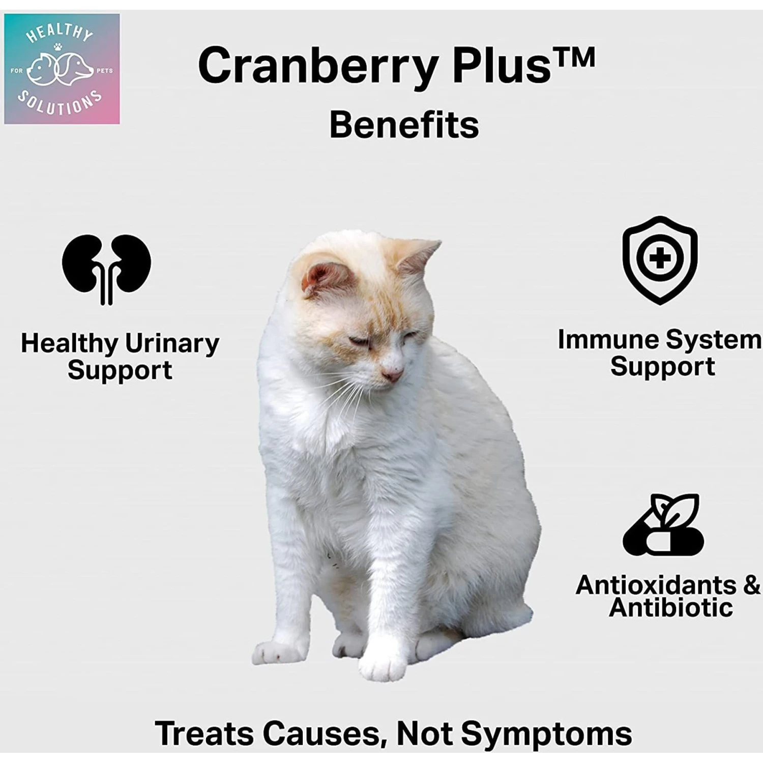 Healthy Solutions For Pets Cranberry Urinary & Kidney Supplement For Cats, 60 Count 4 Healthy Solutions For Pets Cranberry Urinary & Kidney Supplement For Cats, 60 Count - Image 3