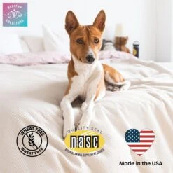 Healthy Solutions For Pets Cat Hairball Control Supplement With Pumpkin Fiber, 90 Count -Meow Meals 743462 PT3. AC SS1800 V1674574165