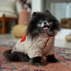 Frisco Medium Weight Quilted Sherpa Dog & Cat Zipper Coat 16 Frisco Medium Weight Quilted Sherpa Dog & Cat Zipper Coat -Meow Meals 744166 PT7. AC SS1800 V1692377763