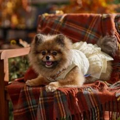 Frisco Medium Weight Quilted Ruffle Tiered Dog & Cat Dress -Meow Meals 744262 PT7. AC SS1800 V1693401666