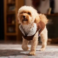 Frisco Medium Weight Quilted Dog & Cat Coat With Cozy Sherpa Lining 18 Frisco Medium Weight Quilted Dog & Cat Coat With Cozy Sherpa Lining -Meow Meals 744310 PT7. AC SS1800 V1692375981