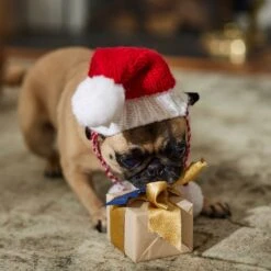 Frisco Chunky Knit Santa Dog & Cat Hat -Meow Meals 744878 PT5. AC SS1800 V1694793814