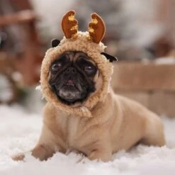 Frisco Sherpa Reindeer Dog & Cat Hat With Bells -Meow Meals 745646 PT5. AC SS1800 V1694795597