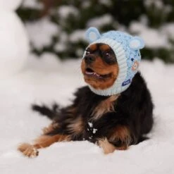 Frisco Nordic Ears Sweater Knit Dog & Cat Hat -Meow Meals 745710 PT5. AC SS1800 V1695671059