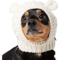 Frisco Polar Bear Sweater Knit Dog & Cat Hat -Meow Meals 745742 PT2. AC SS1800 V1694793756