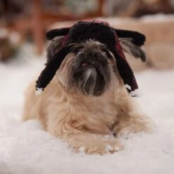 Frisco Tartan Plaid Dog & Cat Trapper Hat -Meow Meals 746750 PT5. AC SS1800 V1694800749