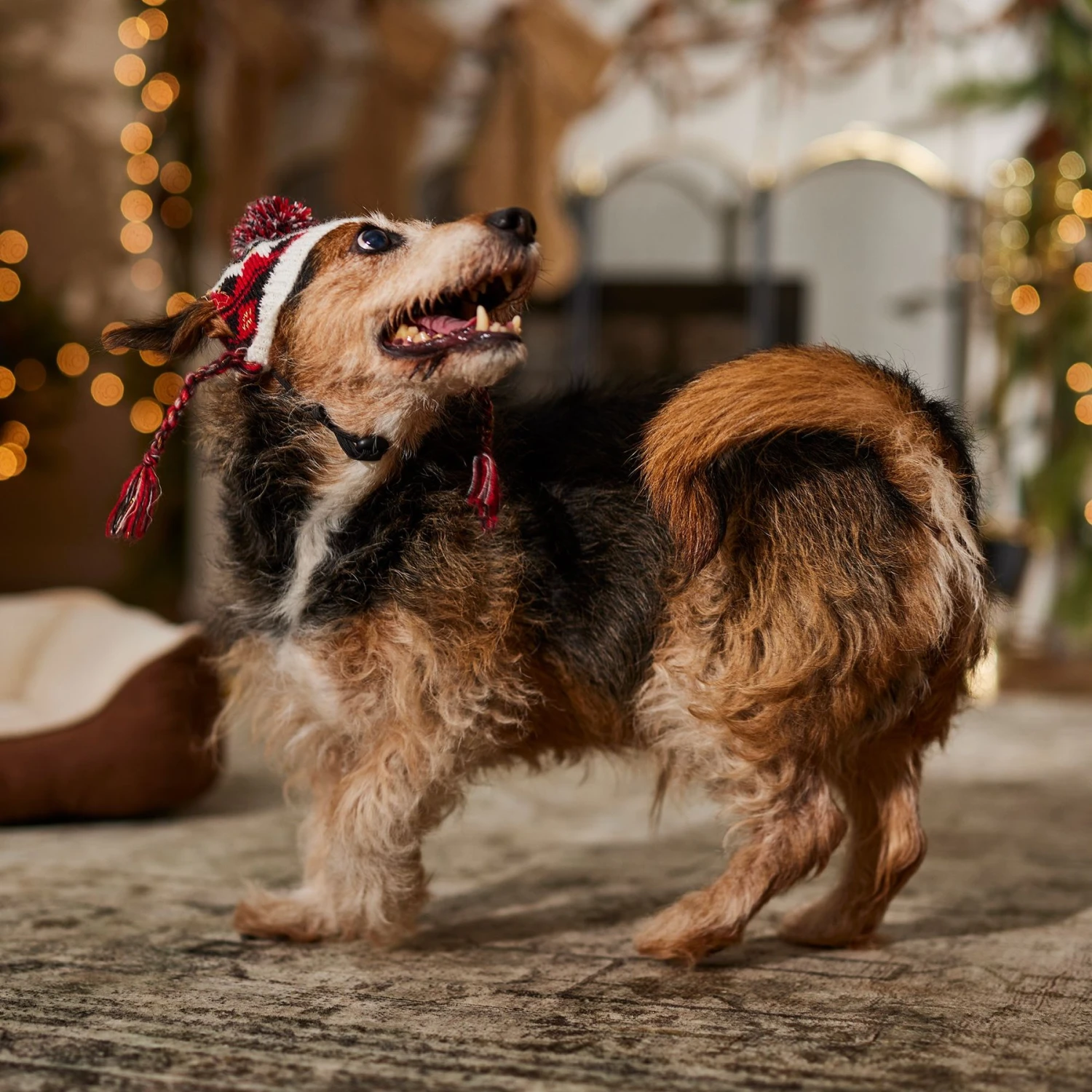 Frisco Nordic Pawprint Dog & Cat Hat 8 Frisco Nordic Pawprint Dog & Cat Hat - Image 6