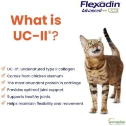 Vetoquinol Flexadin With UCII Cat Supplement, 1.59-oz Bag, 30 Count -Meow Meals 750846 PT3. AC SS1800 V1700689272