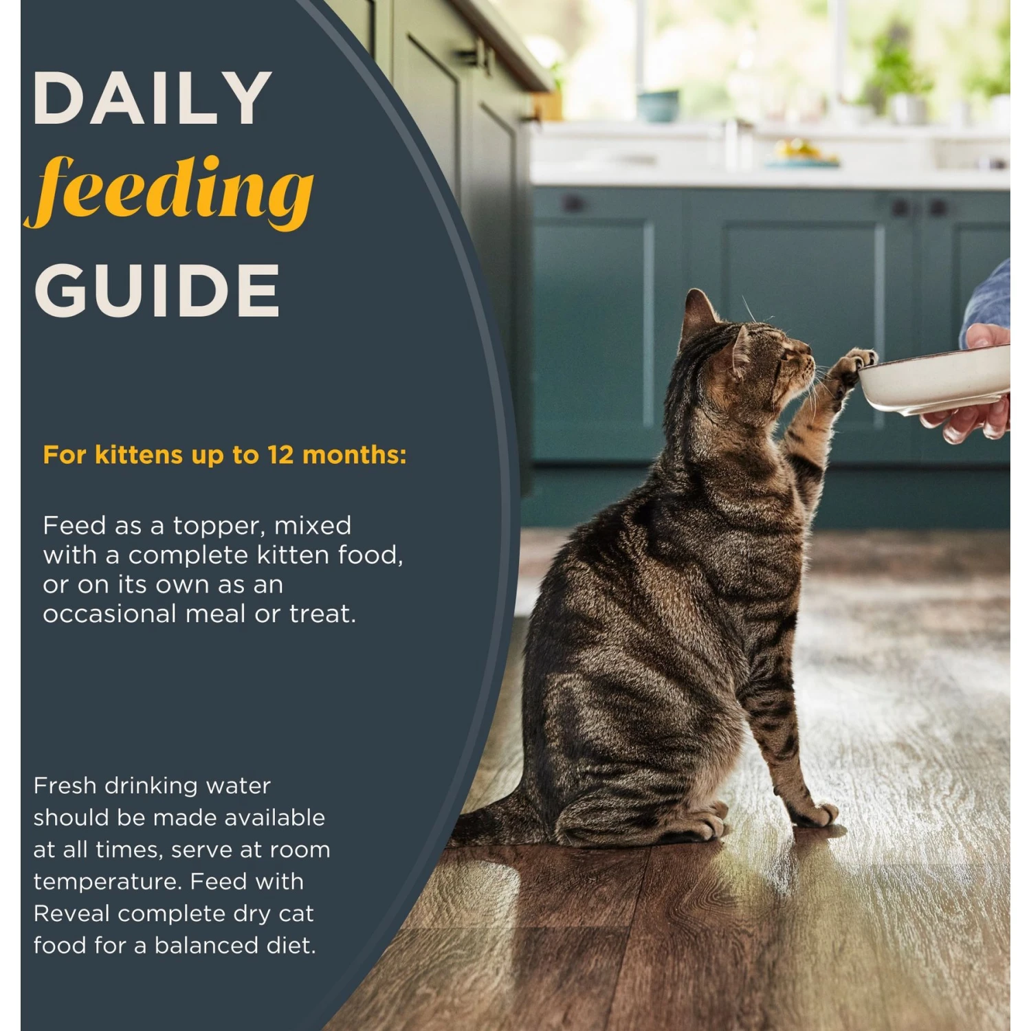 Reveal Natural Limited Ingredient Grain-Free Chicken & Tuna In Broth Variety Pack Wet Kitten Food, 2.47-oz, Case Of 8 8 Reveal Natural Limited Ingredient Grain-Free Chicken & Tuna In Broth Variety Pack Wet Kitten Food, 2.47-oz, Case Of 8 - Image 6