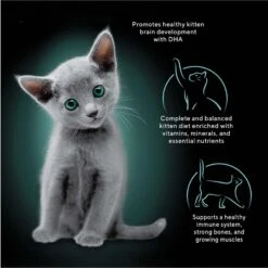 Sheba Perfect Portions Kitten Chicken Pate Wet Cat Food -Meow Meals 752934 PT2. AC SS1800 V1672851777