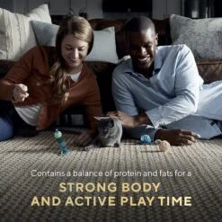 Sheba Perfect Portions Kitten Chicken Pate Wet Cat Food -Meow Meals 752934 PT3. AC SS1800 V1672843185