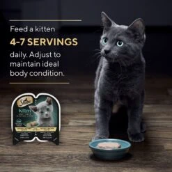 Sheba Perfect Portions Kitten Chicken Pate Wet Cat Food -Meow Meals 752934 PT6. AC SS1800 V1672843243